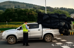 欢玩户外的人发觉皮卡后斗出格能